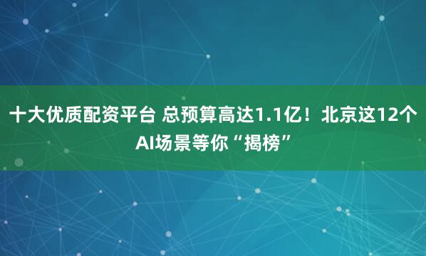十大优质配资平台 总预算高达1.1亿！北京这12个AI场景等你“揭榜”