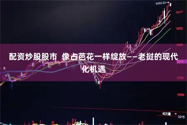 配资炒股股市  像占芭花一样绽放——老挝的现代化机遇